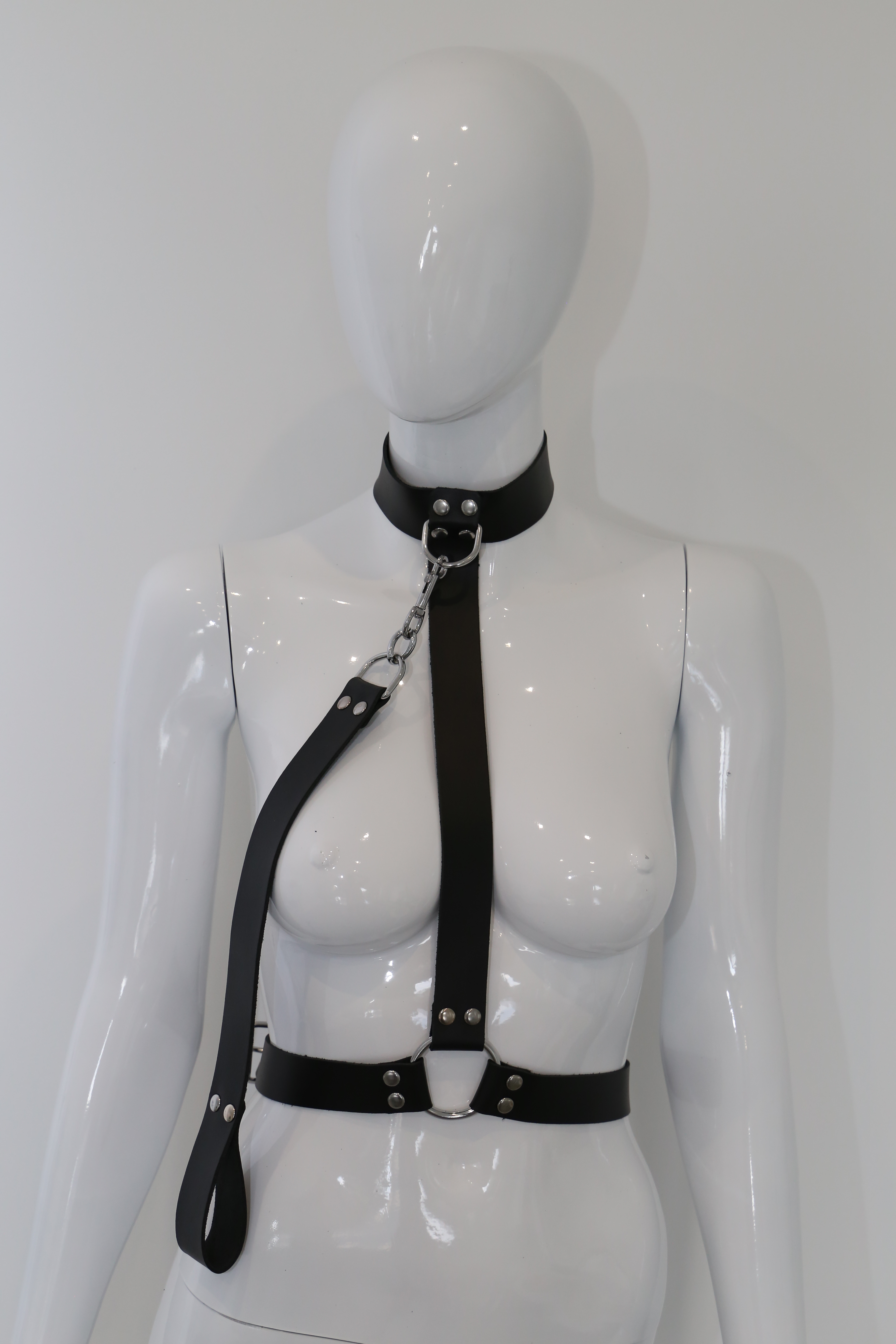 Halsfessel Body mit Leine